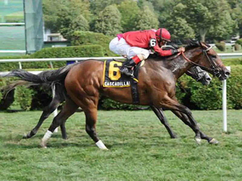 Cascadilla Falls runs in a race