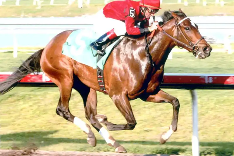 Cayuga Waters runs in a race