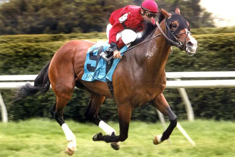 Gun Salute runs in a race